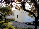 Image 13