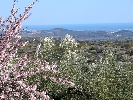 Propriété Rurale en Other