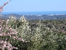 Propriété Rurale en Other