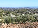 Propriété Rurale en Other
