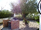 Image 23