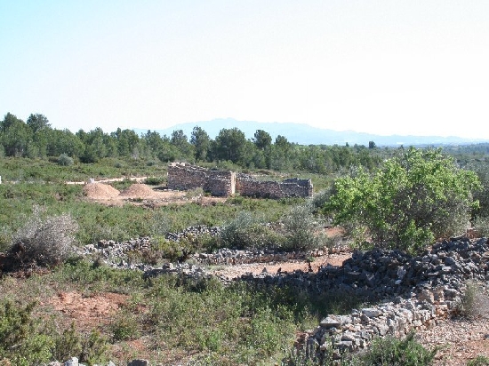 2925_1.jpg