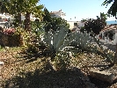 Image 53