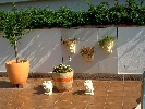 House in Vinaroz