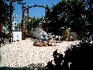 House in Peñiscola