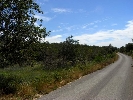 Plot of Land in Cálig