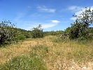 Plot of Land in Cálig