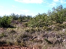 Propriété Rurale en Cervera