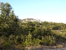 Propriété Rurale en Cervera