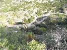 Propriété Rurale en Cervera