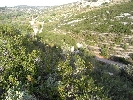 Propriété Rurale en Cervera