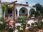 House in Benicarló